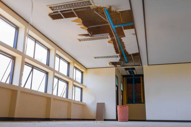 Best Professional water damage repair  in Yellow Springs, OH