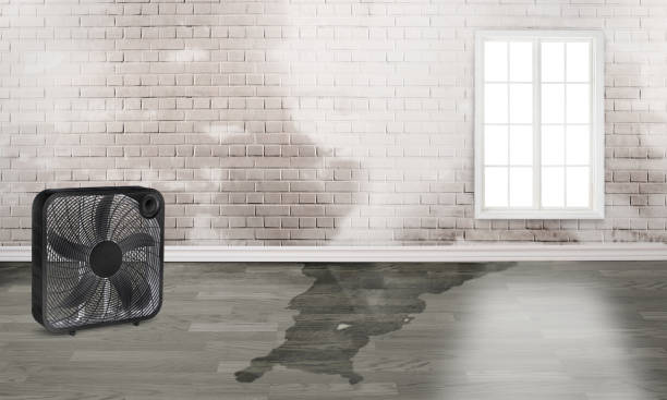 Yellow Springs, OH Water damage restoration Company