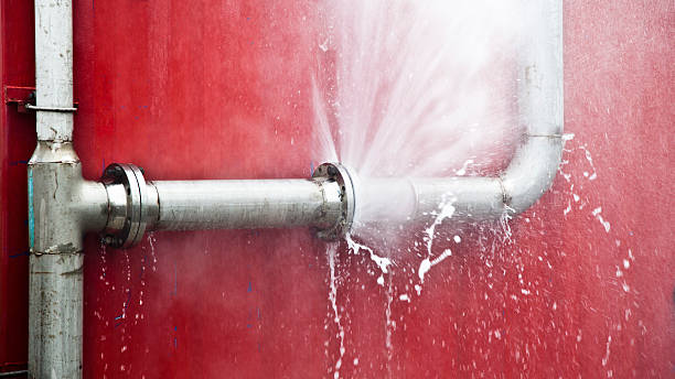 Best Sewage cleanup and water damage restoration  in Yellow Springs, OH